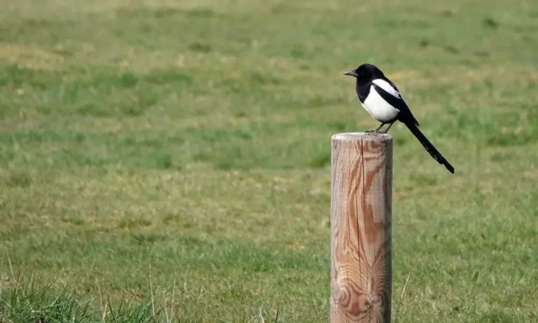 Mein Elster 2023 – Steuererklärung mit Elster – Schritt für Schritt