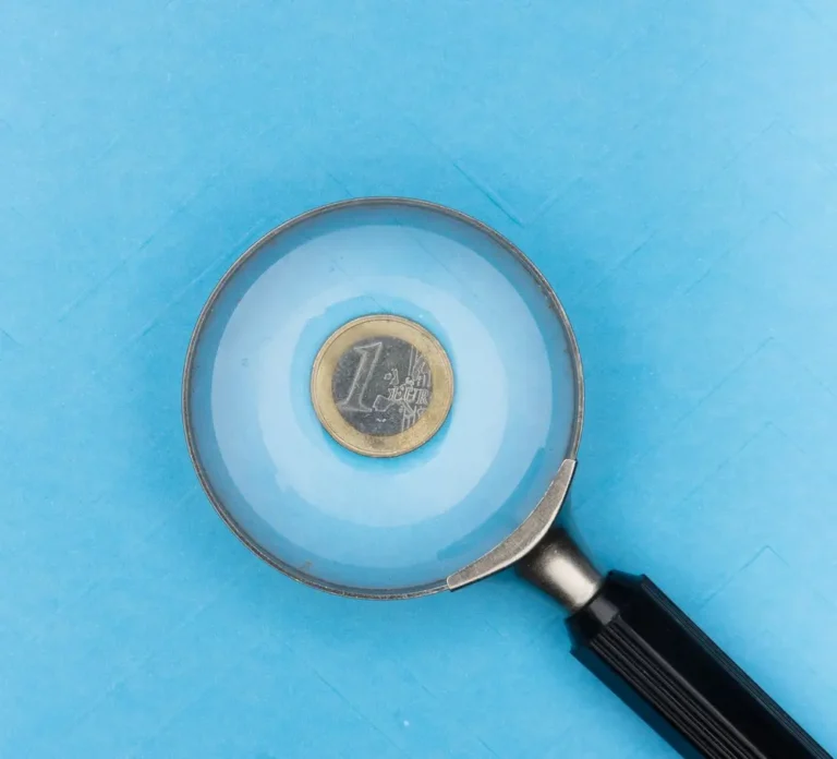 ¿Cuánto cuesta un asesor fiscal? Costos de la declaración de impuestos con la ayuda de un asesor fiscal.