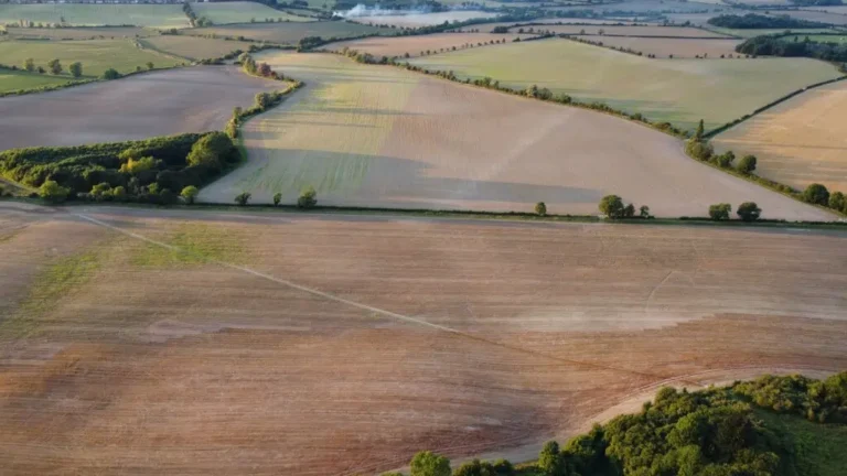 Podatek gruntowy w Niemczech — wszystko, co musisz o nim wiedzieć